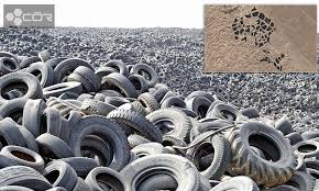 how many wheels are in the world